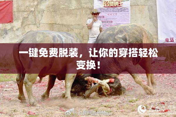 一键免费脱装，让你的穿搭轻松变换！