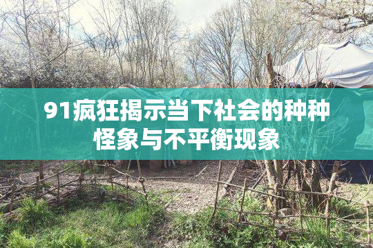 91疯狂揭示当下社会的种种怪象与不平衡现象