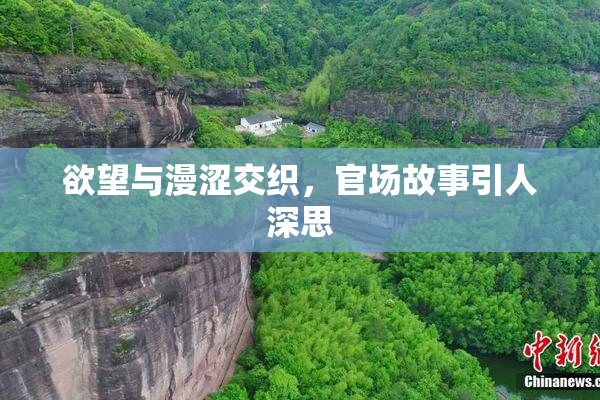 欲望与漫涩交织，官场故事引人深思