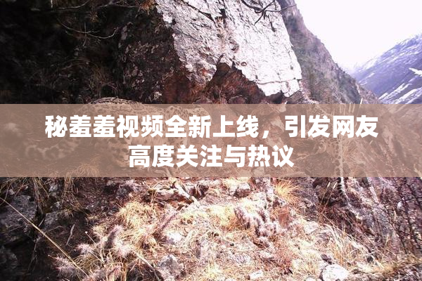 秘羞羞视频全新上线，引发网友高度关注与热议