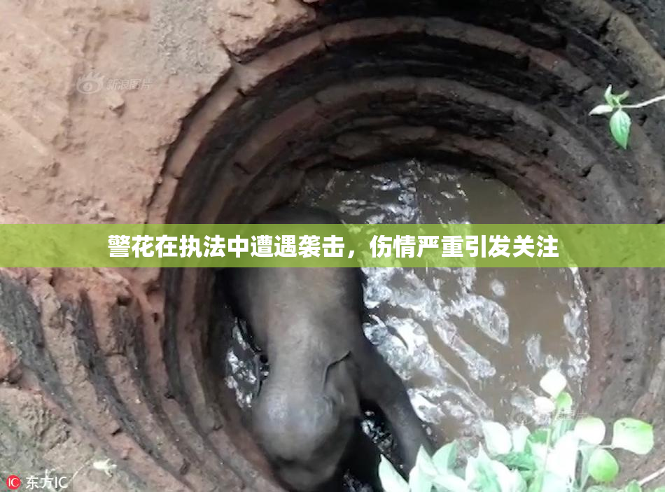 警花在执法中遭遇袭击，伤情严重引发关注