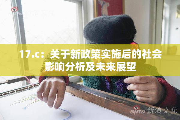 17.c：关于新政策实施后的社会影响分析及未来展望