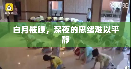 白月被躁，深夜的思绪难以平静