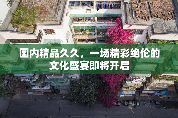 国内精品久久，一场精彩绝伦的文化盛宴即将开启