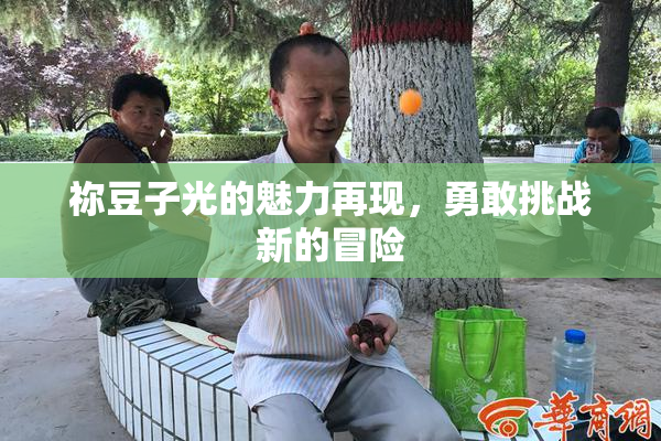 祢豆子光的魅力再现，勇敢挑战新的冒险