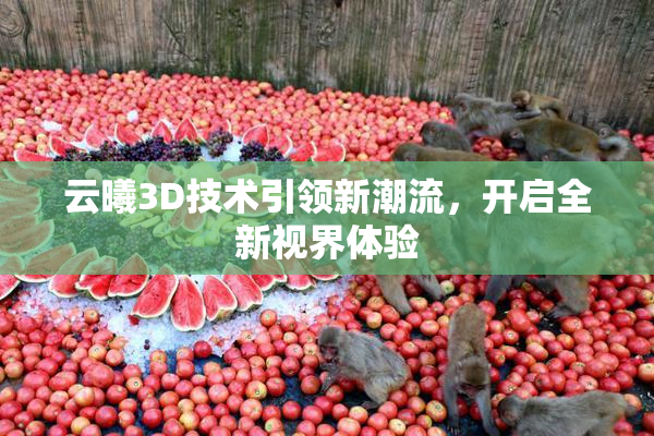 云曦3D技术引领新潮流，开启全新视界体验