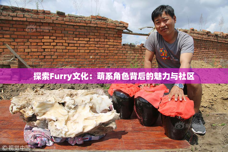 探索Furry文化：萌系角色背后的魅力与社区
