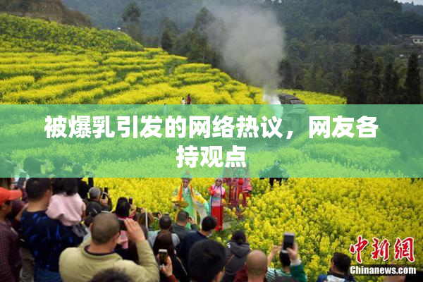 被爆乳引发的网络热议，网友各持观点
