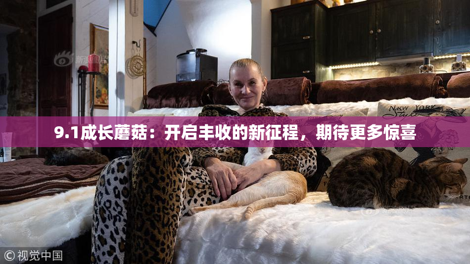 9.1成长蘑菇：开启丰收的新征程，期待更多惊喜