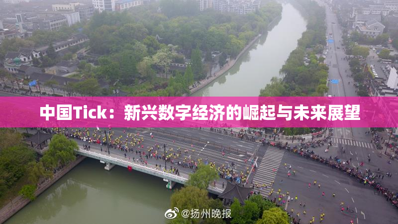 中国Tick：新兴数字经济的崛起与未来展望
