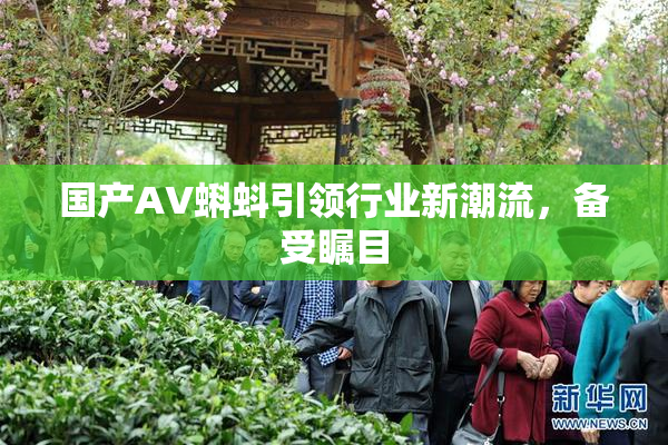 国产AV蝌蚪引领行业新潮流，备受瞩目