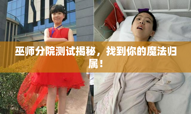 巫师分院测试揭秘，找到你的魔法归属！