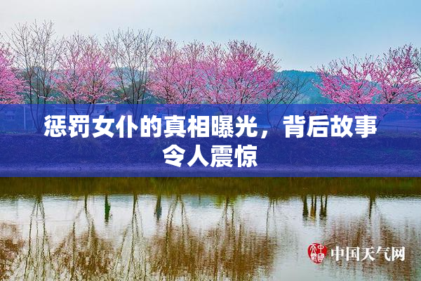 惩罚女仆的真相曝光，背后故事令人震惊