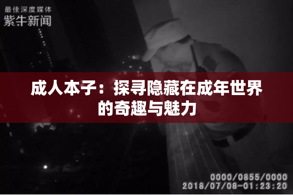 成人本子：探寻隐藏在成年世界的奇趣与魅力