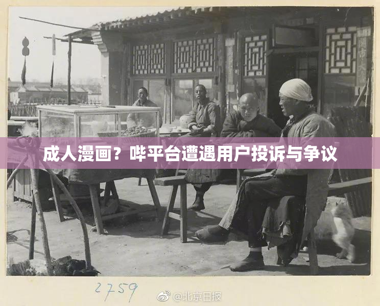 成人漫画？哔平台遭遇用户投诉与争议