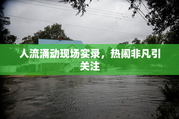 人流涌动现场实录，热闹非凡引关注