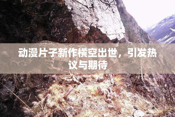 动漫片子新作横空出世，引发热议与期待