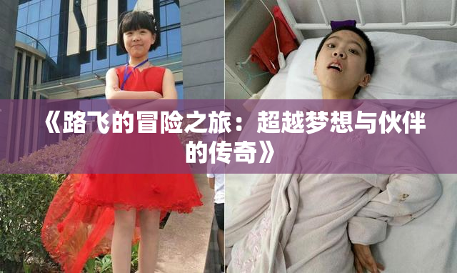 《路飞的冒险之旅：超越梦想与伙伴的传奇》