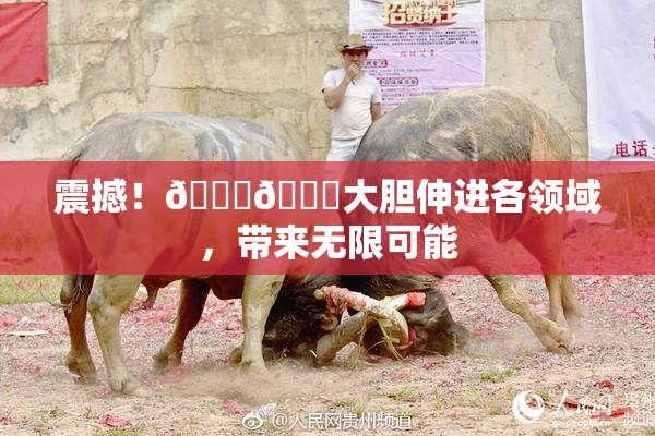 震撼！🐔🐔大胆伸进各领域，带来无限可能