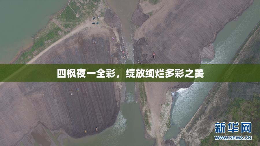四枫夜一全彩，绽放绚烂多彩之美
