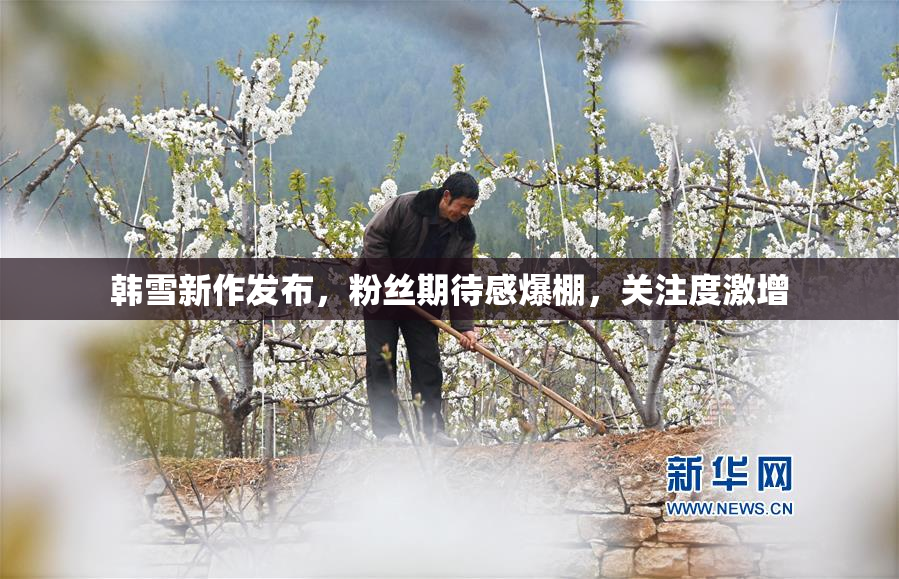 韩雪新作发布，粉丝期待感爆棚，关注度激增