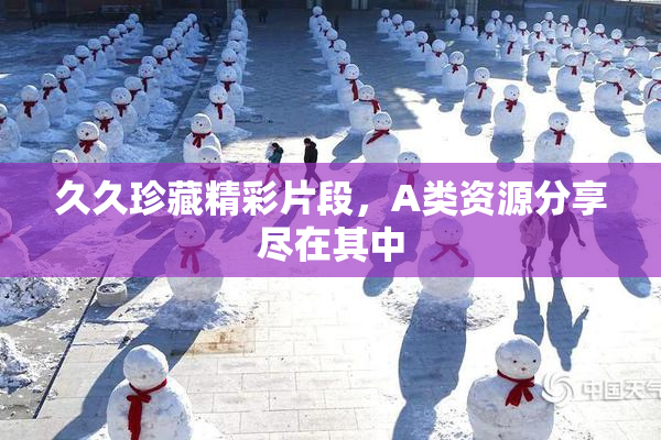 久久珍藏精彩片段，A类资源分享尽在其中