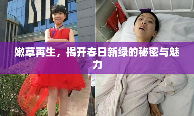 嫩草再生，揭开春日新绿的秘密与魅力