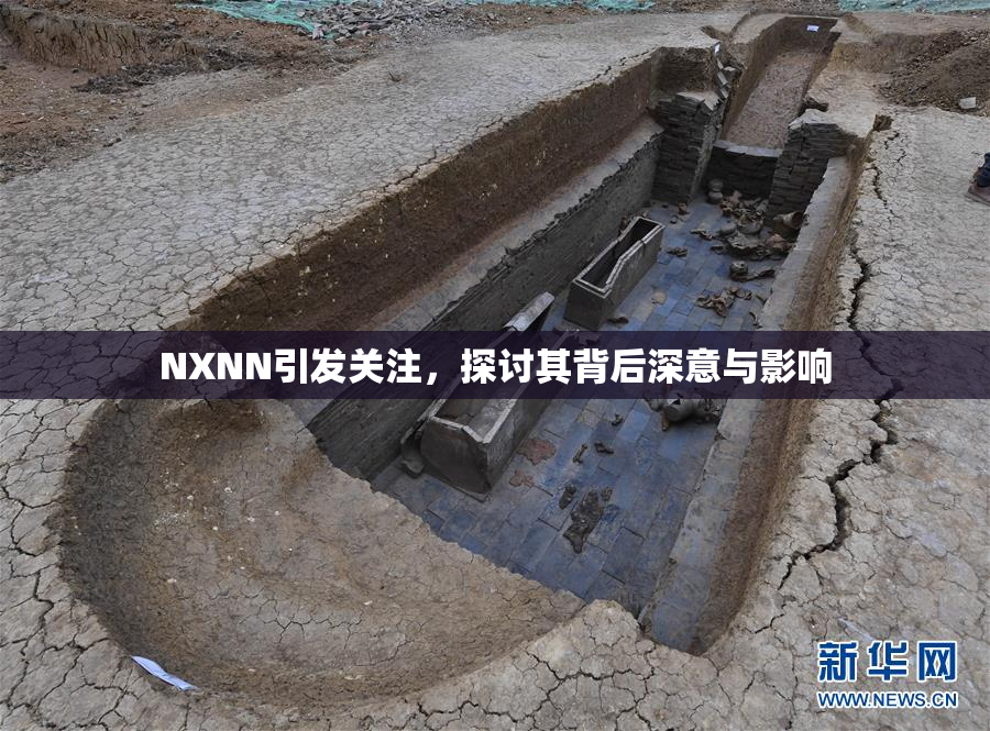 NXNN引发关注，探讨其背后深意与影响