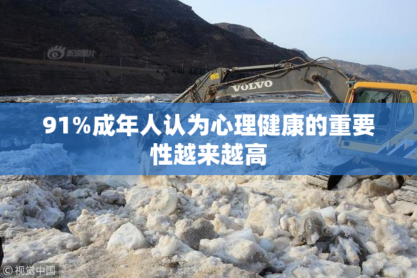 91%成年人认为心理健康的重要性越来越高