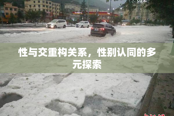 性与交重构关系，性别认同的多元探索