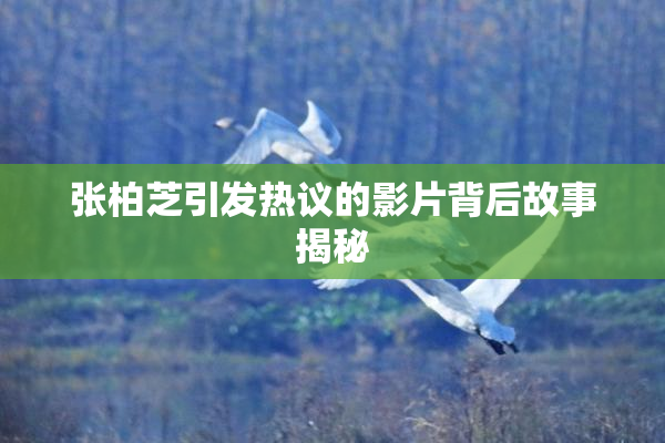 张柏芝引发热议的影片背后故事揭秘