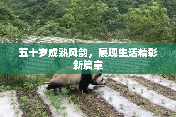 五十岁成熟风韵，展现生活精彩新篇章