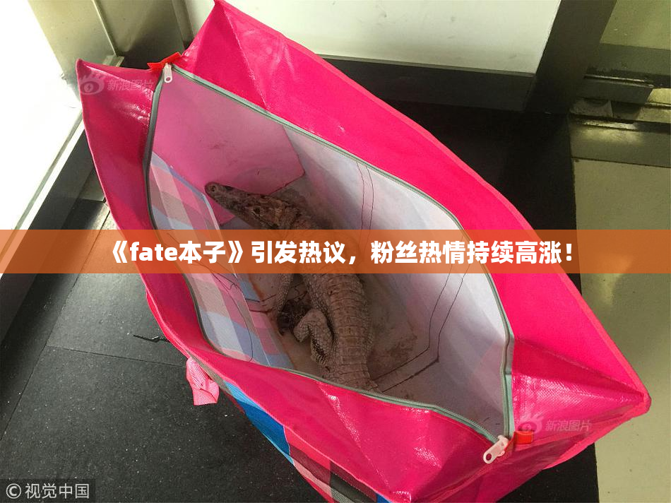 《fate本子》引发热议，粉丝热情持续高涨！