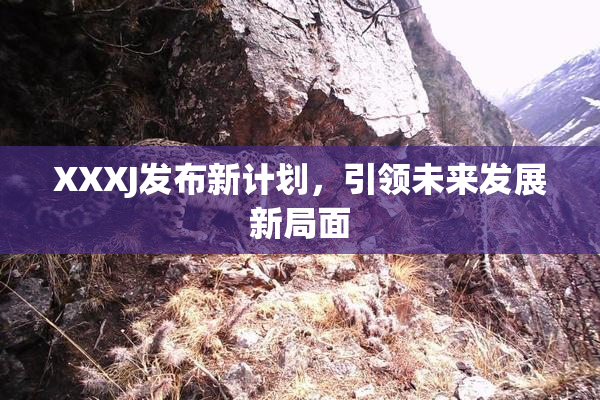 XXXJ发布新计划，引领未来发展新局面