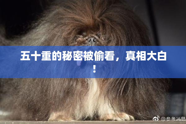 五十重的秘密被偷看，真相大白！