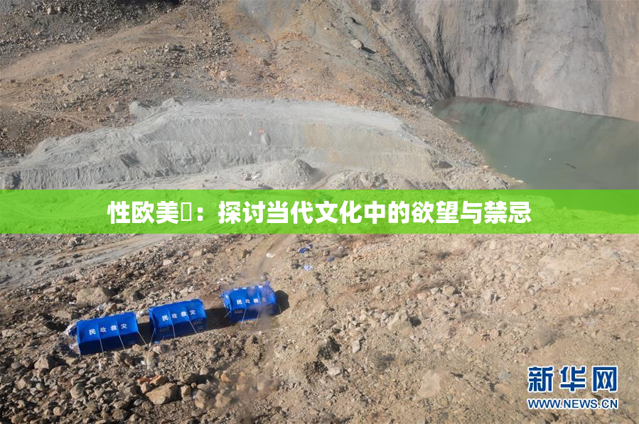 性欧美婬：探讨当代文化中的欲望与禁忌