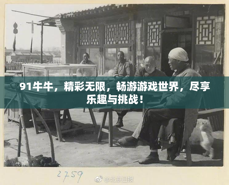 91牛牛，精彩无限，畅游游戏世界，尽享乐趣与挑战！
