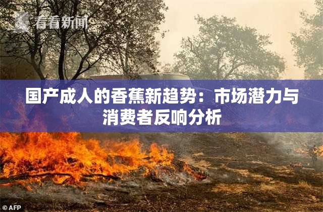 国产成人的香蕉新趋势：市场潜力与消费者反响分析