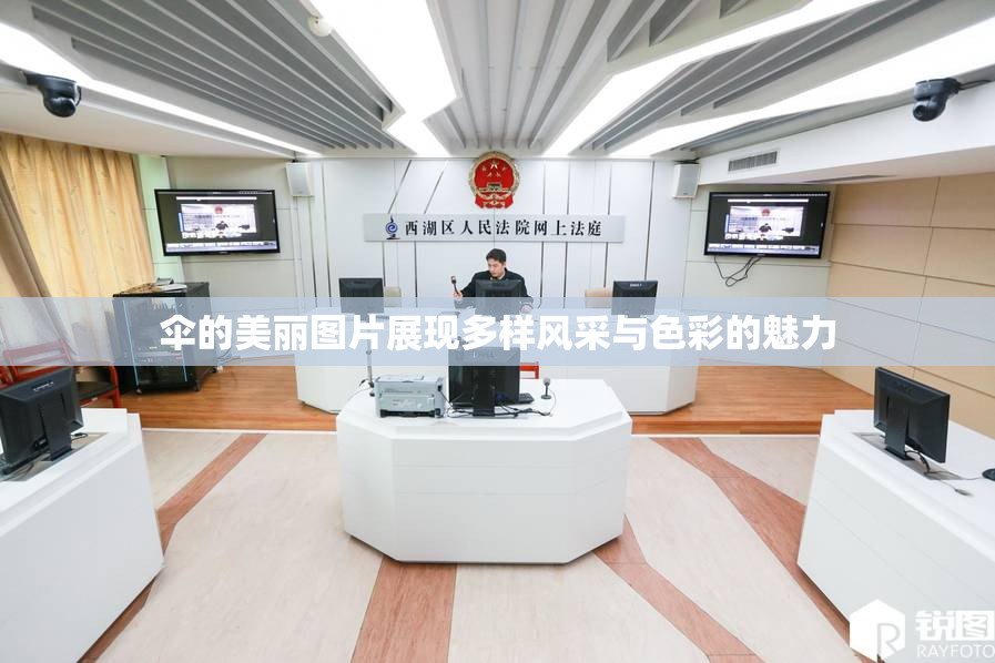 伞的美丽图片展现多样风采与色彩的魅力