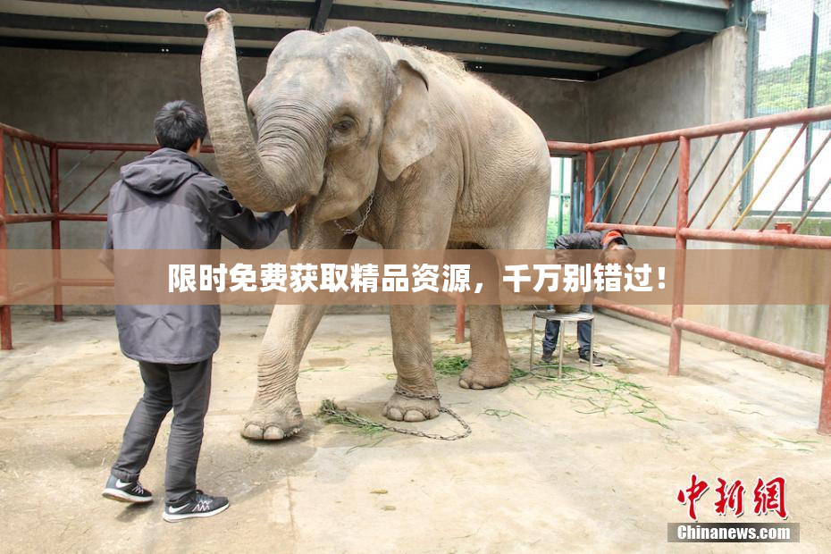 限时免费获取精品资源，千万别错过！