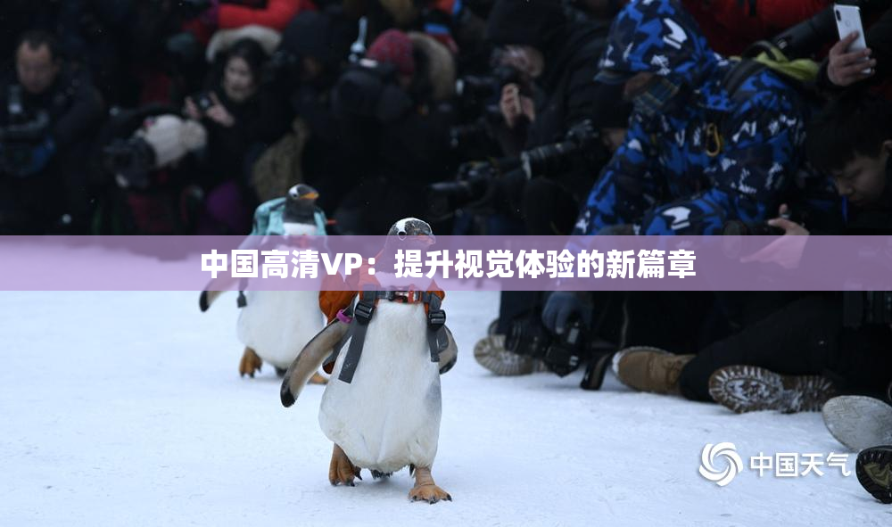 中国高清VP：提升视觉体验的新篇章