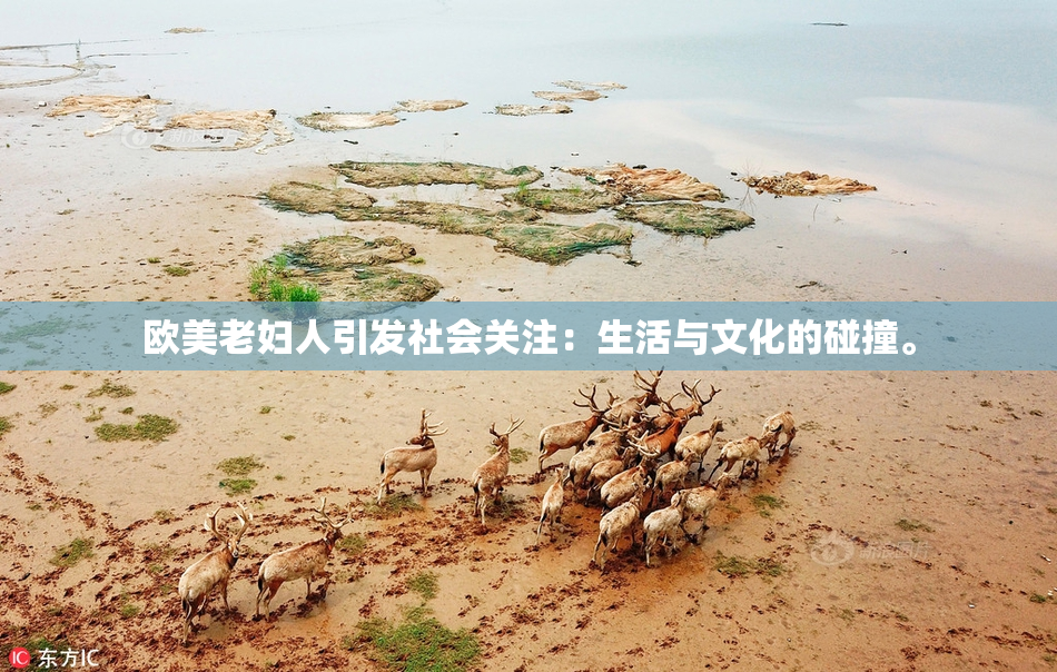 欧美老妇人引发社会关注：生活与文化的碰撞。