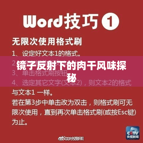 镜子反射下的肉干风味探秘