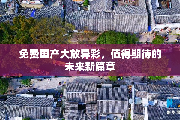 免费国产大放异彩，值得期待的未来新篇章