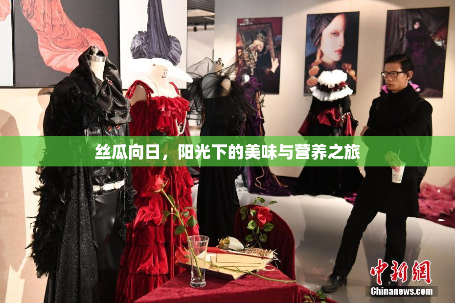 丝瓜向日，阳光下的美味与营养之旅