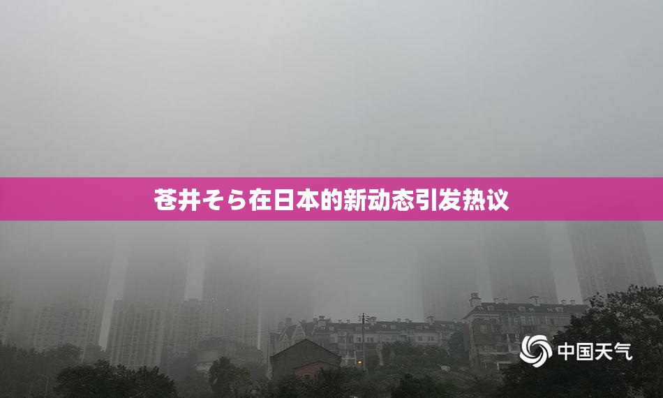 苍井そら在日本的新动态引发热议