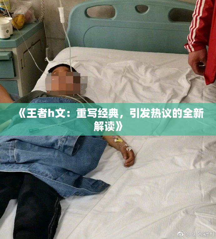 《王者h文：重写经典，引发热议的全新解读》