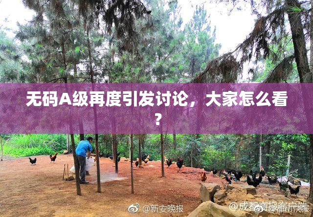 无码A级再度引发讨论，大家怎么看？