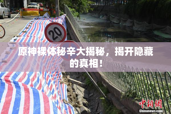 原神裸体秘辛大揭秘，揭开隐藏的真相！