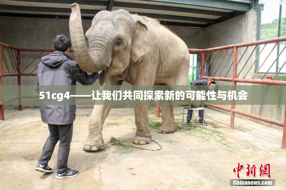 51cg4——让我们共同探索新的可能性与机会